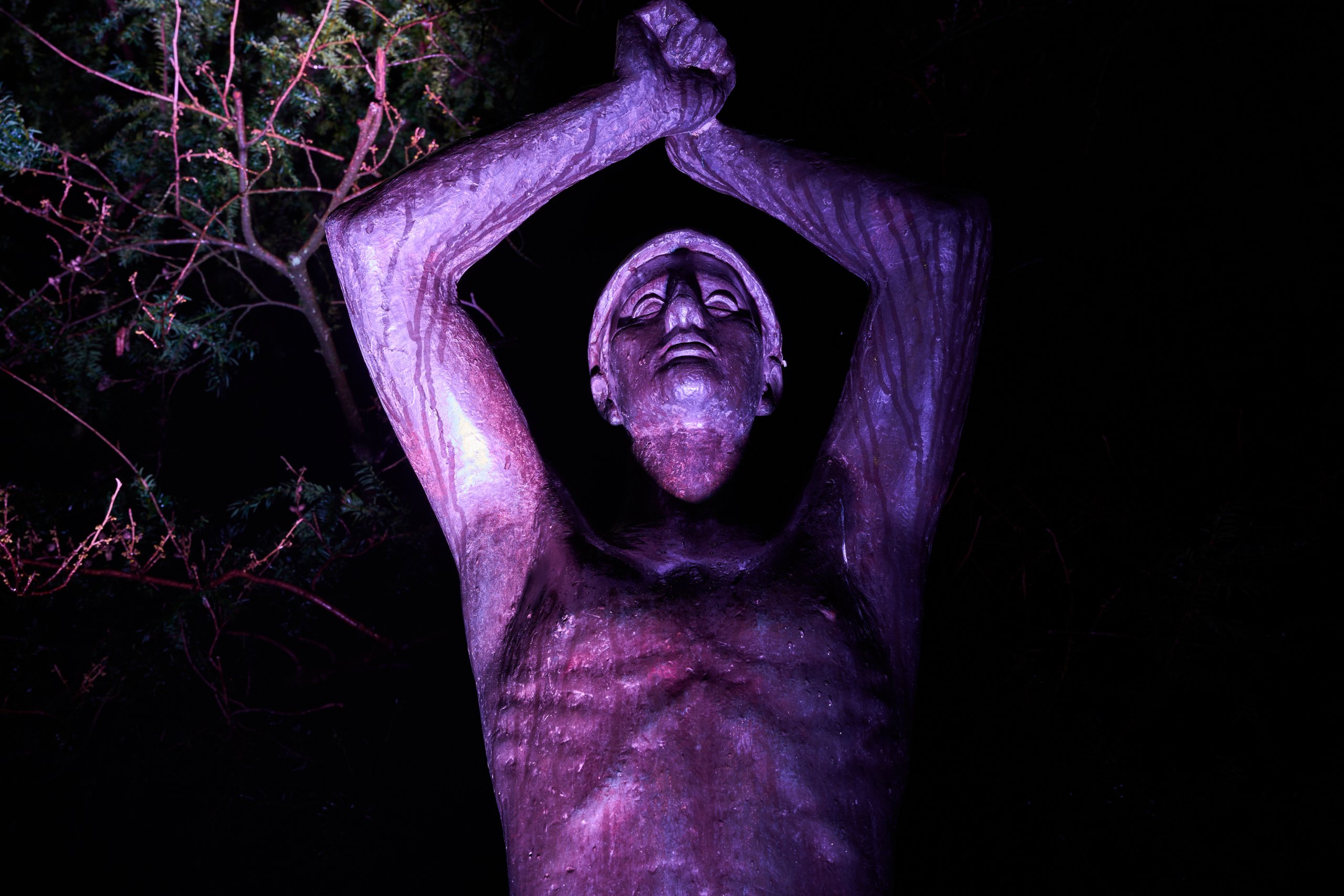 2026 02 03 Parkleuchten 0017